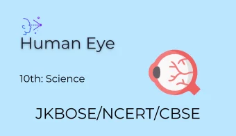 Class 10th Science Notes Human Eye